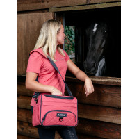 LeMieux ProKit Lite Grooming poetstas Veenbes Roze