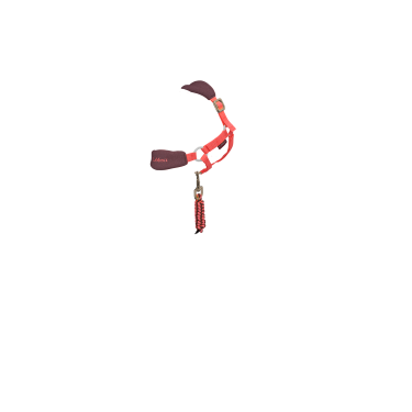 Vogue halster voor speelgoed Mini Pony LeMieux Vogue halster voor speelgoed Mini Pony LeMieux