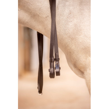 Teugels Eden Pénélope Havana Bruin