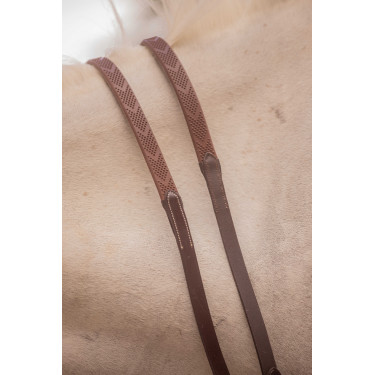 Teugels Eden Pénélope Havana Bruin