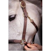 Licol cuir 3 mousquetons Paddock Sports Havane Marron Licol cuir 3 mousquetons Paddock Sports Havane Marron