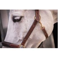 Licol cuir 3 mousquetons Paddock Sports Havane Marron Licol cuir 3 mousquetons Paddock Sports Havane Marron