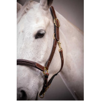 Licol cuir 3 mousquetons Paddock Sports Havane Marron Licol cuir 3 mousquetons Paddock Sports Havane Marron