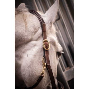 Licol cuir 3 mousquetons Paddock Sports Havane Marron