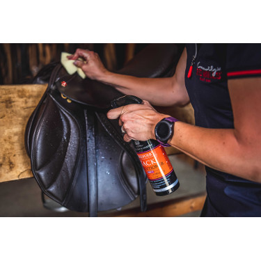 Pack soin des cuir Belvoir Duo Step 1+ Step 2 Carr & Day & Martin Pack soin des cuir Belvoir Duo Step 1+ Step 2 Carr & Day & Martin