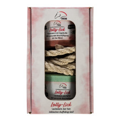 Gearomatiseerde liksteen Lolly Lick set van 2 HKM Hondsroos / appel