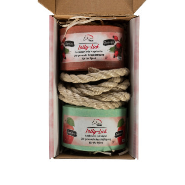 Pierre a sel aromatisée Lolly Lick lot de 2 HKM Églantier / pomme