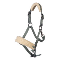 Licol Mia pour shettys HKM Sauge Violet Licol Mia pour shettys HKM Sauge Violet