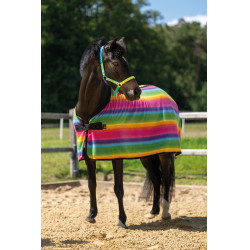HKM drogersdeken Rainbow voor shetlanders Multicolore strepen