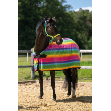 HKM drogersdeken Rainbow voor shetlanders Multicolore strepen