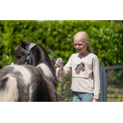 Spray démêlant Fiona HKM Rose Spray démêlant Fiona HKM Rose