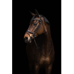 Hoofdstel Arezzo Lauria Garrelli Donkerbruin