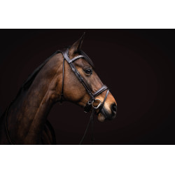 Bridon Arezzo Lauria Garrelli Marron foncé