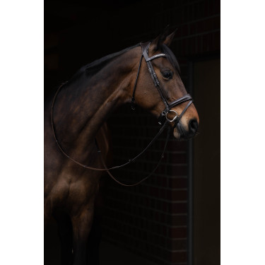 Hoofdstel Arezzo Lauria Garrelli Donkerbruin