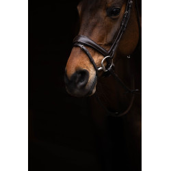 Bridon Arezzo Lauria Garrelli Marron foncé