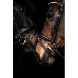 Bridon Arezzo Lauria Garrelli Marron foncé