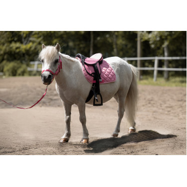Selle pour Shetland set Lucy HKM Rose