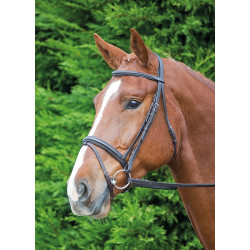Bridon Comfort Fit Aviemore Shires Havana Bruin Bridon Comfort Fit Aviemore Shires Havana Bruin