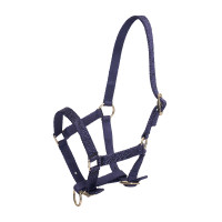 Licol poulain HV Polo Nena – Confort et solidité