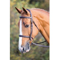 Bridon Fairford Salisbury Shires Noisette Bridon Fairford Salisbury Shires Noisette