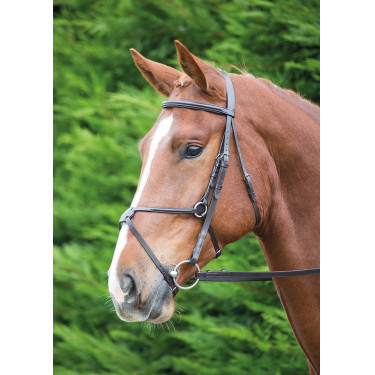 Bridon mexicain Aviemore Shires Havane Marron Bridon mexicain Aviemore Shires Havane Marron