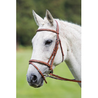 Bridon muserolle croisée Raised Flash Avignon Shires Chêne