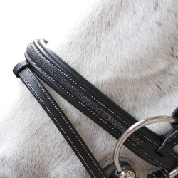 Hoofdstel Flags & Cup Aachen