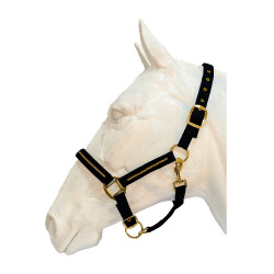 Set halster en longe Flags & Cup Nossy Zwart