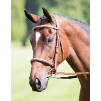 Franse cavesson neusriem Avignon Shires Eik Franse cavesson neusriem Avignon Shires Eik