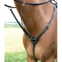 Collier de chasse 3 points Salisbury Shires Noir