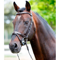 Bridon Tattini avec strass Bridon Tattini avec strass