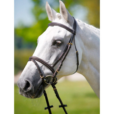 Bridon Tattini muserolle combinée