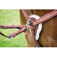 Collier de chasse 5 points Avignon Shires Havane Marron Collier de chasse 5 points Avignon Shires Havane Marron