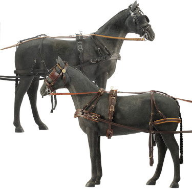 Harnais Daslö pour voiture 4 roues Noir Harnais Daslö pour voiture 4 roues Noir