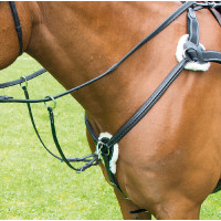 Collier de chasse 5 points Avignon Shires Havane Marron Collier de chasse 5 points Avignon Shires Havane Marron