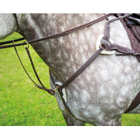 Borsttuig 5 punten Salisbury Shires Havana Bruin Borsttuig 5 punten Salisbury Shires Havana Bruin