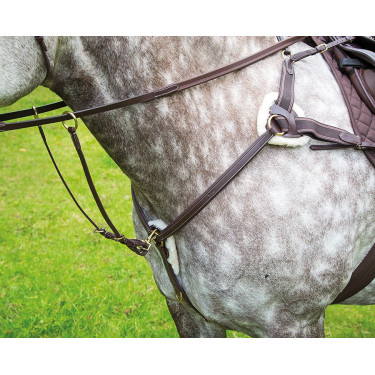 Borsttuig 5 punten Salisbury Shires Havana Bruin Borsttuig 5 punten Salisbury Shires Havana Bruin