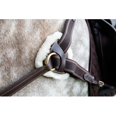 Collier de chasse 5 points Salisbury Shires Havane Marron Collier de chasse 5 points Salisbury Shires Havane Marron