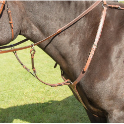 Collier de chasse Avignon Shires Chêne