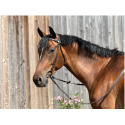 Hoofdstel T de T Essentiel Comfort Donker Havana Bruin Hoofdstel T de T Essentiel Comfort Donker Havana Bruin