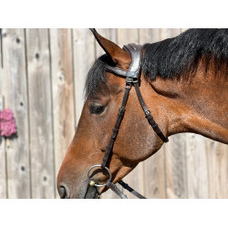 Hoofdstel T de T Essentiel Comfort Donker Havana Bruin Hoofdstel T de T Essentiel Comfort Donker Havana Bruin