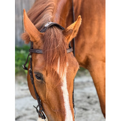 T-de-T hoofdstel Essentiel met brug T-de-T hoofdstel Essentiel met brug