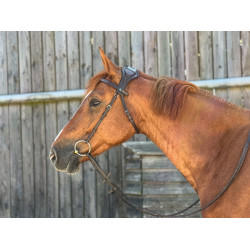 T-de-T hoofdstel Essentiel met brug T-de-T hoofdstel Essentiel met brug