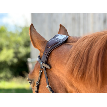 Bridon T de T Essentiel à Pont Bridon T de T Essentiel à Pont