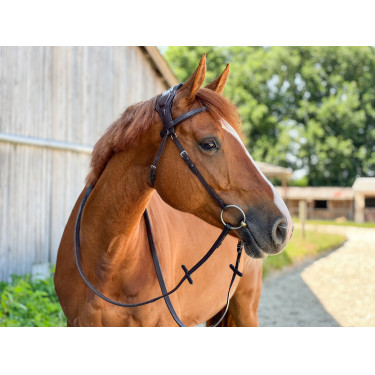T-de-T hoofdstel Essentiel met brug T-de-T hoofdstel Essentiel met brug