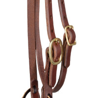 Têtière avec bandeau à boucle unique de 5/8" Platinum Pro Huile foncé Marron Têtière avec bandeau à boucle unique de 5/8" Platinum Pro Huile foncé Marron