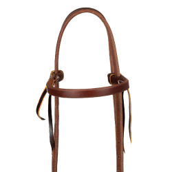 Têtière avec bandeau à boucle unique de 5/8" Platinum Pro Huile foncé Marron