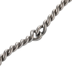 RVS-bit met gedraaide mond van fijn roestvrij staal Pools