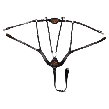 Anatomisch 5-punts borsttuig Acavallo Donkerbruin Anatomisch 5-punts borsttuig Acavallo Donkerbruin