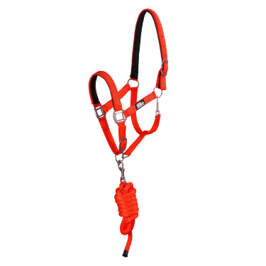 Licol Synthétique avec Longe Reflective Supreme Rouge